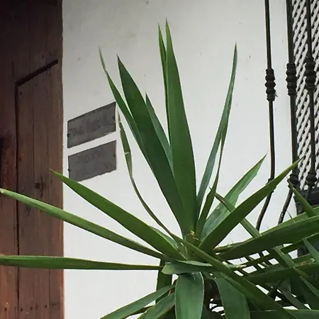 Appartamento Casa Rustica San Francisco 1 Telde